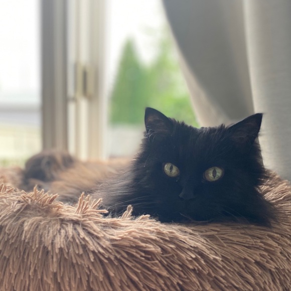 ♥️ - Picture 5 of 6